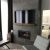Tile - Stone & Other-8''x48'' Peau De Beton™ Onyx Raw