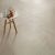 Tuile-Céramique-4X24 Nuances Beige Decor Signs