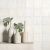 Tile - Ceramic-2-1/2X8 Sahn Trim White Matt