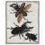 Fabrication CIOT - Studio-Selvaggio Scarabeorum 1 - 38X48