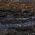 Fabrication CIOT - Studio-Natura Bosco 1 - 32''x66''