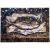 Fabrication CIOT - Studio-Natura Pesce 1 - 15.75''x22.38''