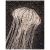 Fabrication CIOT - Studio-Oceana Medusa 1 - 24''x30''