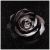 Fabrication CIOT - Studio-Selvaggio Rosa 1 - 48''x48''