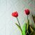 Tile - Ceramic-4''x12'' Prisma Branco Luc.