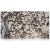 Slab - Stone & Other-Delicatus White Polished 1 1/4''