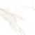 Tile - Ceramic-32X32 Statuario Gold Lev. Rt