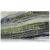 Slab - Stone & Other-Verde Irish Green Polished 3/4''