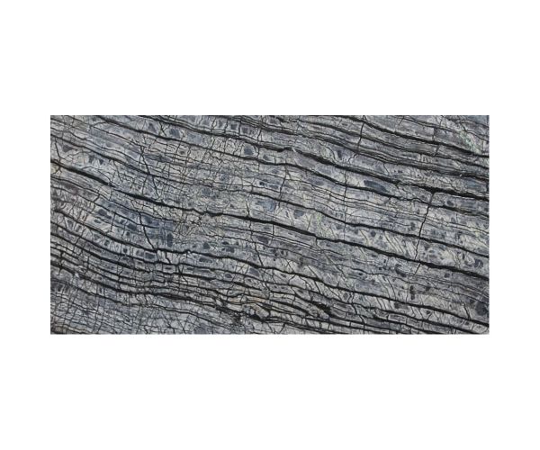 Tile - Stone & Other-12''x24'' Silverwave Polshed