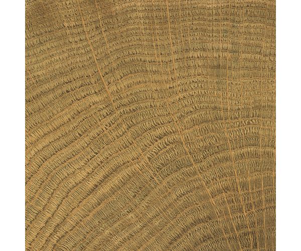 Tile - Ceramic-4X4 W-Circles Walnut Nat. Rt