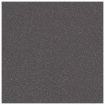 Tile - Ceramic-24X24 Courtyard Black Beach Protect