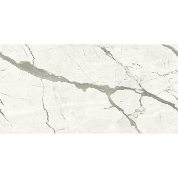 Slab - Ceramic-Atlas Plan 20mm Calacatta Extra Natura Vein Pol (64X128in)
