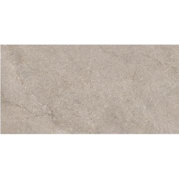 Tile - Ceramic-24X48 Evolution Light Grey Soft Shiny Rt
