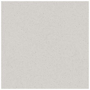 Tile - Ceramic-24X24 Courtyard Silver Chalk Protect
