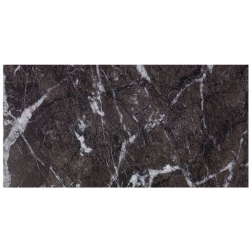 Tile - Stone & Other-12''x24'' Grigio Carnico Polished