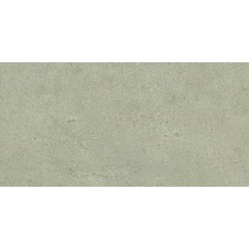 Tile - Ceramic-24X48 Boost Vision Ash Matte Rt