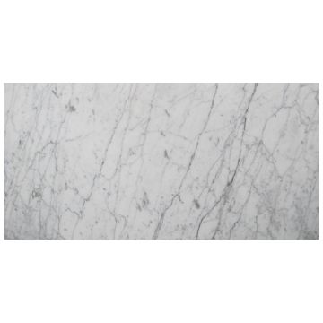 Tile - Stone & Other-12''x24'' Bianco Carrara Polished