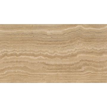 Slab - Stone & Other-Trav. Bianco Not Filled Honed 3/4