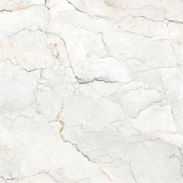 Tuile-Céramique-24X24 Geomarble Sauvage Pearl Brillo Rt