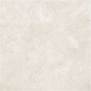 Tile - Ceramic-48X48 Evolution White Nat. Rt