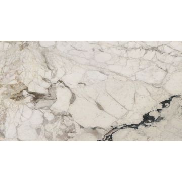 Slab - Stone & Other-Calacatta Monet Polished 1 1/4''