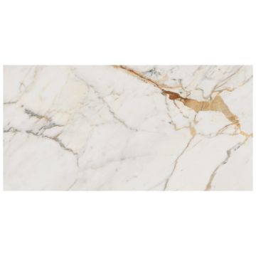 Tile - Ceramic-24X48 Allmarble Golden White Lux Rt