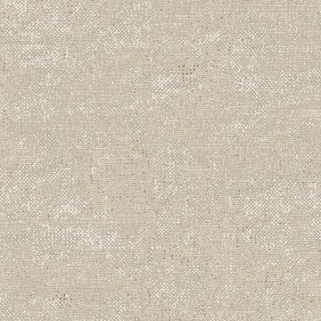 Tuile-Céramique-24X24 Theke Trame Perla Sq