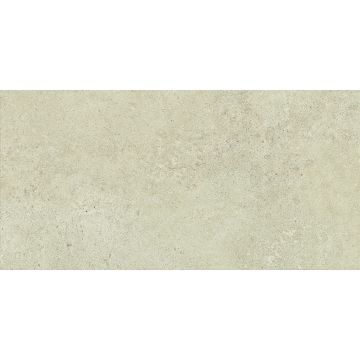 Tile - Ceramic-24X48 Boost Vision Camel Matte Rt