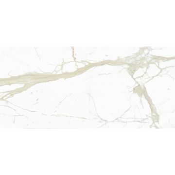 Slab - Ceramic-Sapienstone 12mm White Calacatta Lev (59X128in)