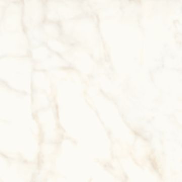 Tile - Ceramic-24X24 Marvel Shine Calacatta Delicato Lap.