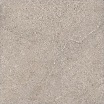 Tile - Ceramic-48X48 Evolution Light Grey Nat. Rt
