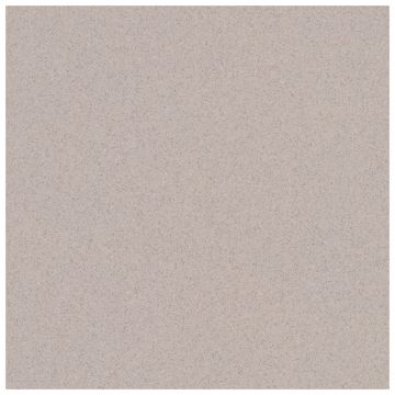 Tile - Ceramic-24X24 Courtyard Ash Brown Protect