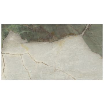 Slab - Stone & Other-Quartzite Botanic Wave Precious Polished 3/4