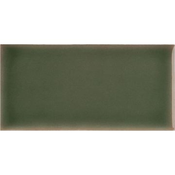 Tile - Ceramic-2.5X5 Yoko Moss Glossy Std