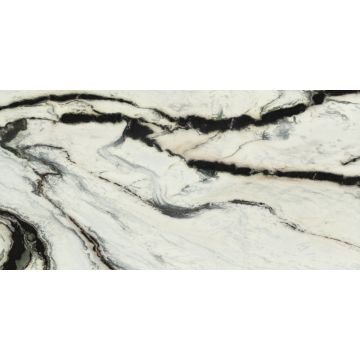 Slab - Stone & Other-Scandalous Polished 1 1/4