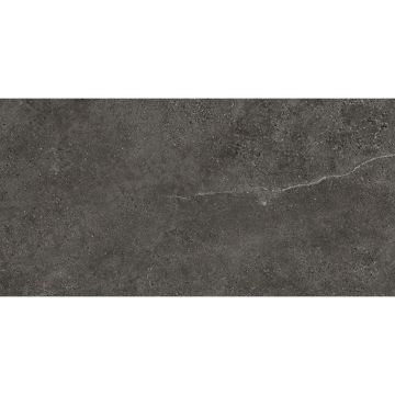 Tile - Ceramic-24X48 Evolution Black Soft Shiny Rt