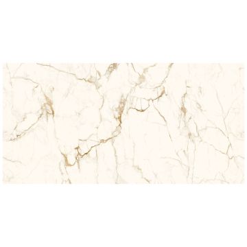 Slab - Ceramic-Sapienstone 4D 20mm Calacatta Macchia Vecchia B Pol (63X126In)
