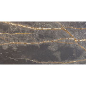 Tuile-Pierre et autres-12X24 Sahara Bronze Honed