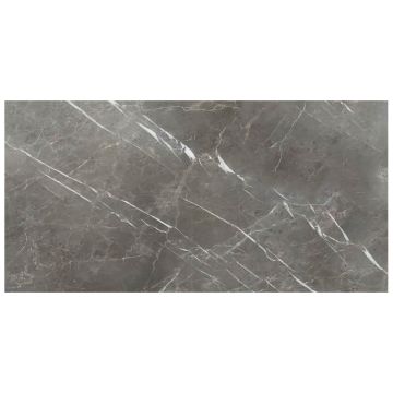 Tile - Stone & Other-12''x24'' Grey Stone Polished