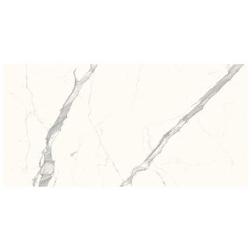 Slab - Ceramic-Sapienstone 4D 20mm Calacatta Statuario B Pol (63X126In)