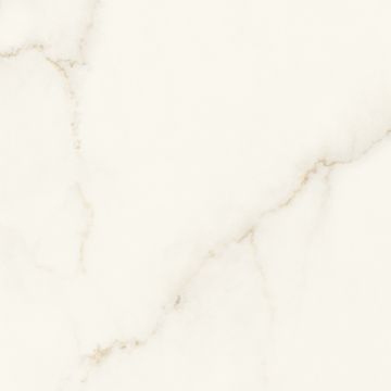Tuile-Céramique-24X24 Marvel X Calacatta Apuano Lap. Rt