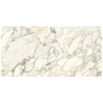 Slab - Ceramic-Sapienstone 4D 20mm Arabescato B Pol (63X126In)