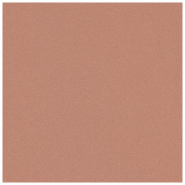 Tuile-Céramique-24X24 Courtyard Terra Red Protect