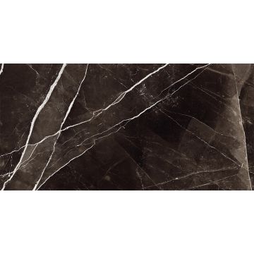Tile - Ceramic-24X48 Allmarble Calacatta Black Lux Rt