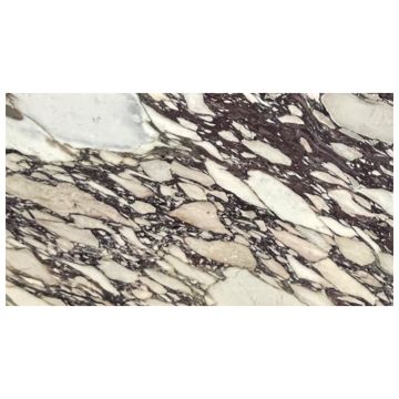 Tuile-Pierre et autres-12X24 Calacatta Viola Poli