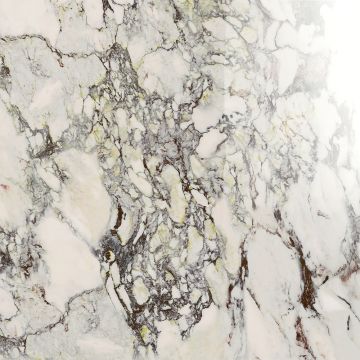 Tile - Ceramic-24X24 Allmarble Capraia Lux Rt
