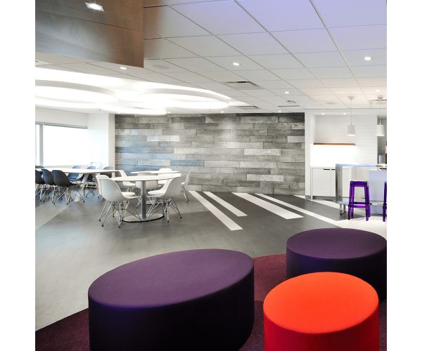 Tile - Stone & Other-8''x48'' Peau De Beton™ Onyx Raw