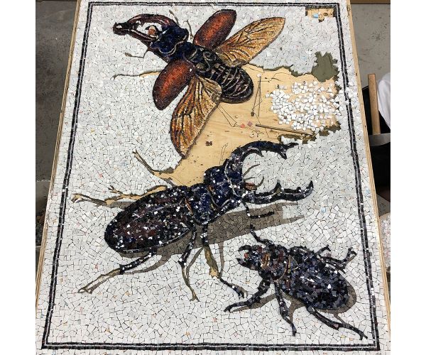 Fabrication CIOT - Studio-Selvaggio Scarabeorum 1 - 38X48