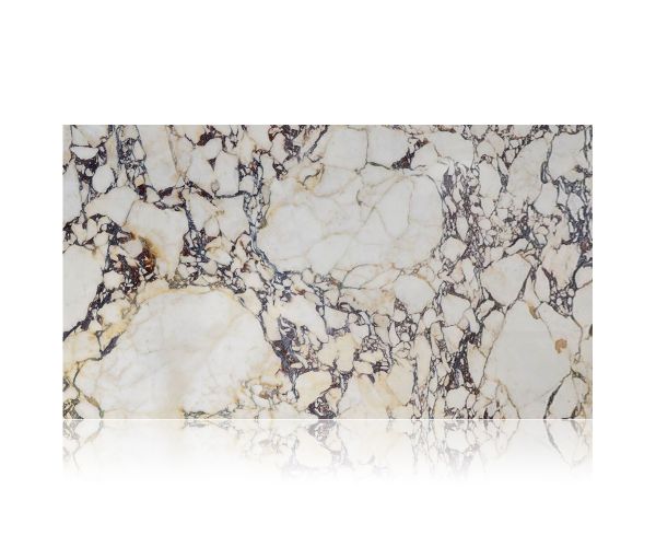 Slab - Stone & Other-Calacatta Viola Polished 1 1/4
