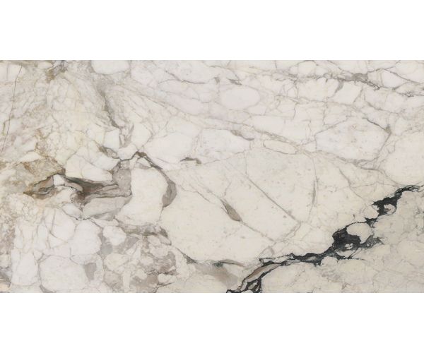 Slab - Stone & Other-Calacatta Monet Polished 1 1/4''